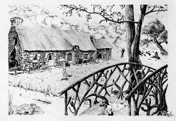 image4