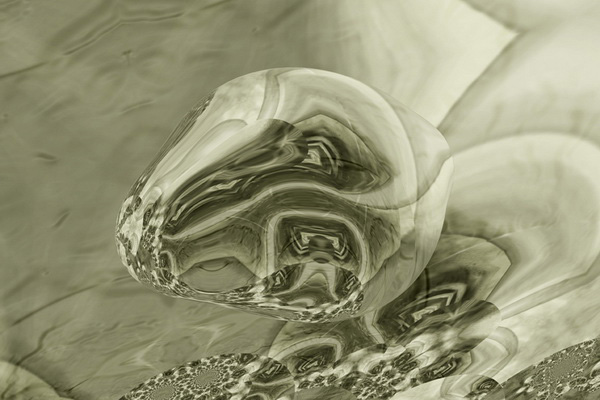 image4